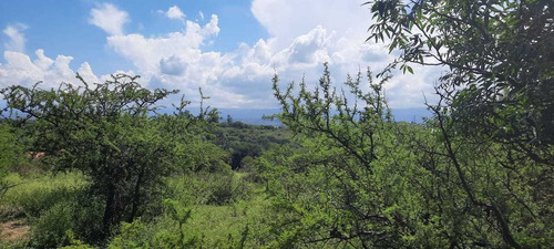 Imagen 14 de 14 de Oportunidad!espectacular Frac. 4.1 Ha. Ideal Turistico!! 486