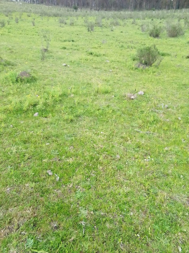 Campo Agrícola Ganadero En Canelones