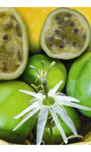 Plantin De Maracuja Perla Del Cerrado