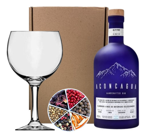 Pack Aconcagua Azul + Copon + Botanicos + Caja Gin Tonic Box