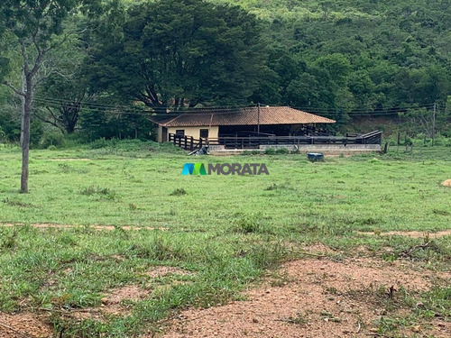 Imagem 3 de 10 de Fazenda - Zona Rural - Ref: 4896 - V-mta4896