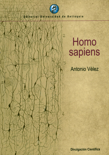 Homo Sapiens, De Vélez, Antonio. Editorial Universidad De Antioquia, Tapa Blanda, Edición 1 En Español, 2019