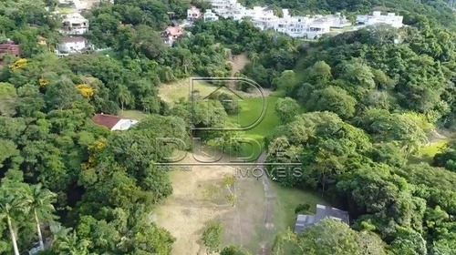 Imagem 4 de 15 de Terreno - Corrego Grande - Ref: 29576 - V-29574
