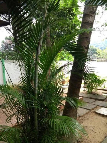 Imagem 4 de 18 de Casa 170 Mil Em Condominio - Ca0381