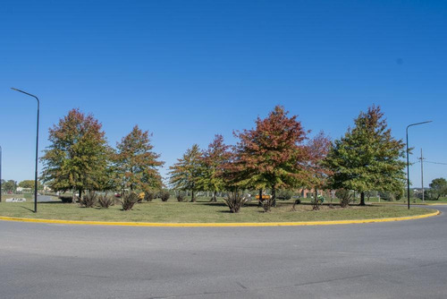 Imagen 6 de 8 de Lote En Venta En San Sebastián Área 1