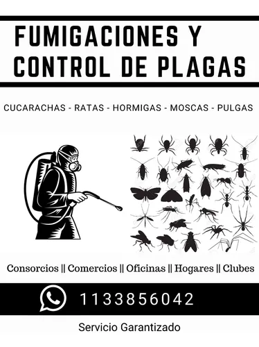 Fumigacion Fumigaciones Control De Plagas Desinfecciones