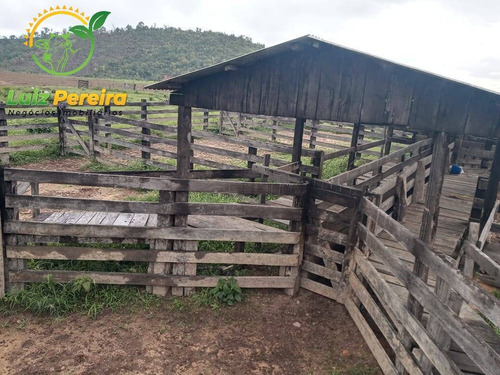 Imagem 15 de 15 de Fazenda À Venda Em Colniza -mt - 629,2 Hectares (dupla Aptidão) - 2108