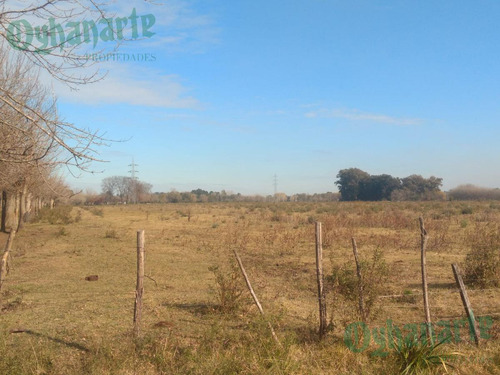 Imagen 5 de 21 de Venta De Campo De 23 Hectáreas En General Rodriguez.