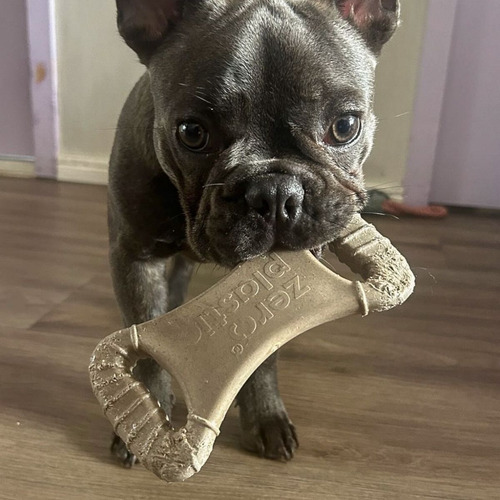 Kit Biobone Mordedor Resistente Para Cães Laranja Ossão 3un