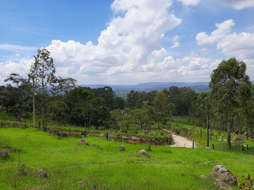 Imagem 2 de 10 de Lotes Plainos E Limpos Em São Roque