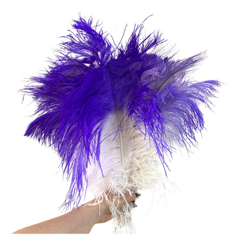 Plumas Avestruz Tipo Palito 100g Ideal P/ Trajes De Carnaval Cor Bicolor Branco / Lilás