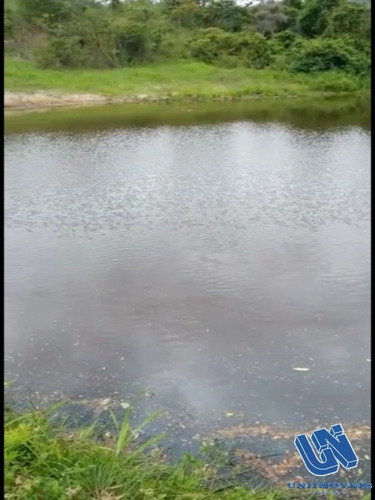 Imagem 13 de 14 de Fazenda Com 2.500 Tarefas Em Jiquiriça - Bahia - Afd061 - 70714272