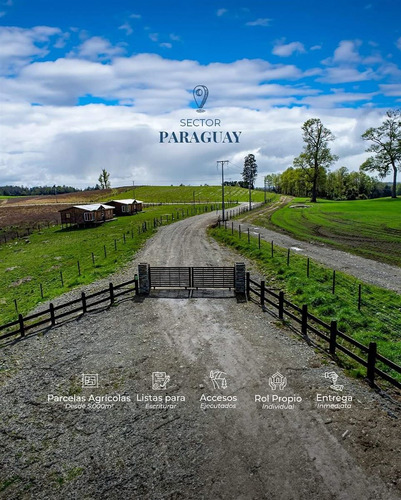Parcelas En Frutillar, Bosque Y Praderas. Financiamiento