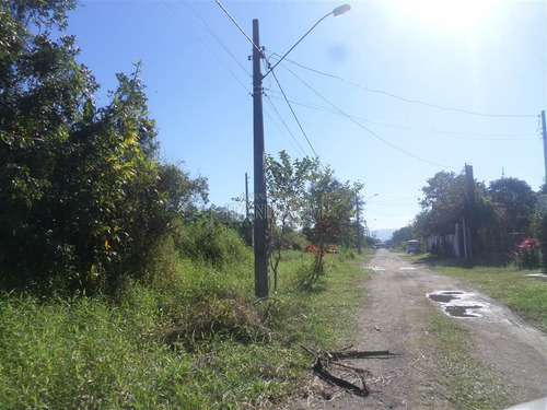 Imagem 4 de 6 de Terreno - Venda - Tropical - Itanhaém - Ita3156