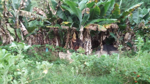 Chácara Residencial À Venda, Terra Preta, Mairiporã. - Ch0080