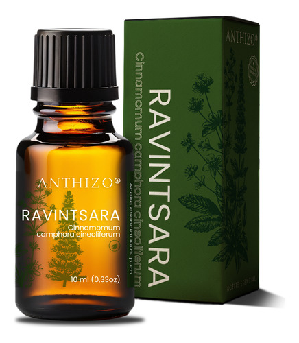 Aceite Esencial De Ravintsara Orgánico, 100% Puro, Anthizo