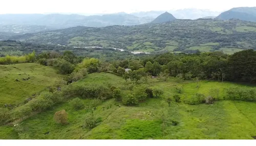 Finca En Venta En Támesis. Cod V12277