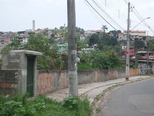 Imagem 3 de 15 de Terreno Em Jardim Luciana - Franco Da Rocha - 193