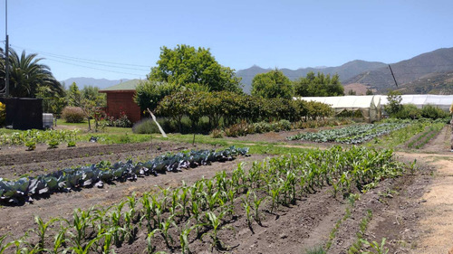 Quillota (104730)
