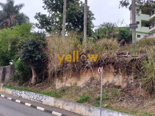 Imagem 2 de 2 de Terreno - Centro - Te-2621