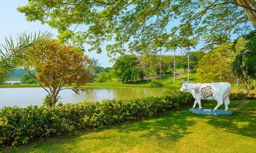 Imagem 28 de 30 de Chácara Com 4 Dormitórios À Venda, 900 M² Por R$ 4.480.000,00 - Fazenda Serra Azul - Itupeva/sp - Ch0263