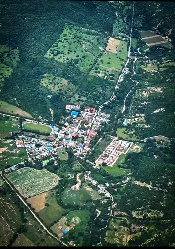 Finca