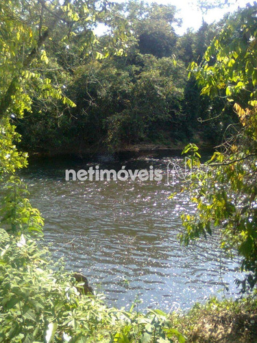 Imagem 24 de 29 de Venda Chácara Zona Rural Conceição Do Pará - 875793