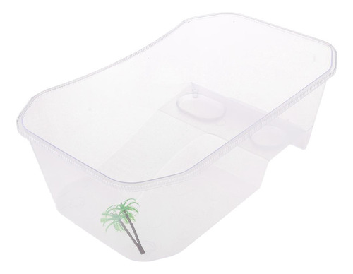 Caja De Alimentación De Alimentación Tortuga Semi- Blanco