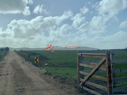 Venta - 5 Has En Sierra De Los Caracoles- Ref: 1568