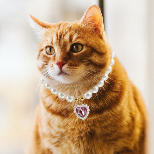 Coleira Bead Dog: Colar De Pérolas Para Cães E Gatos -