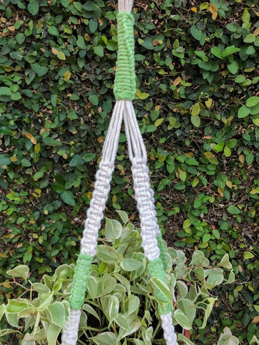 Suporte De Plantas