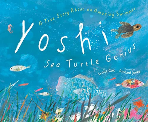 Yoshi, Sea Turtle Genius: A True Story About An Amazing Swimmer (libro En Inglés), De Cox, Lynne. Editorial Anne Schwartz Books, Tapa Pasta Dura En Inglés, 2023