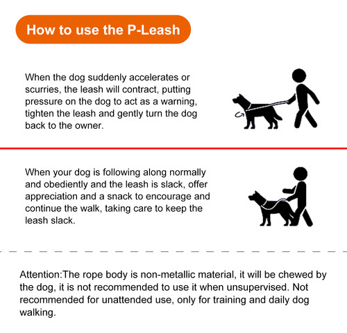 Correas Antideslizantes Para Perros, Correa Para Perros, Cor