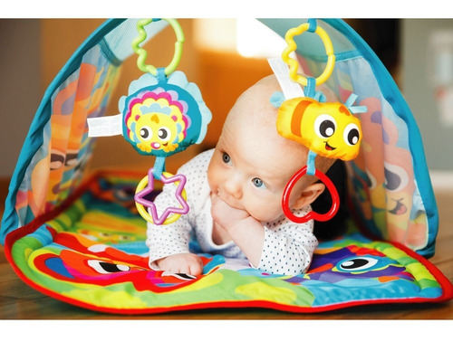 Imagen 2 de 5 de Playgro Bebé Honey Bee Bear Activity Tunnel Gym Didáctico