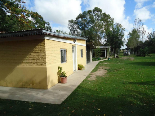 Imagen 8 de 18 de Venta De Chacra