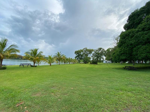 Lotes Venta Fraccionamiento Arboledas Del Río 600 M² Tuxpan Veracruz