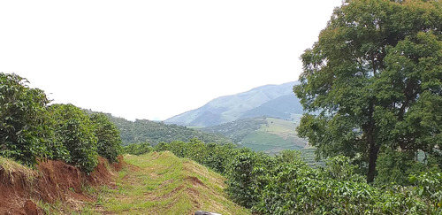 Imagem 6 de 15 de Fazenda, Para Venda Em Carangola/mg - Var1212ale