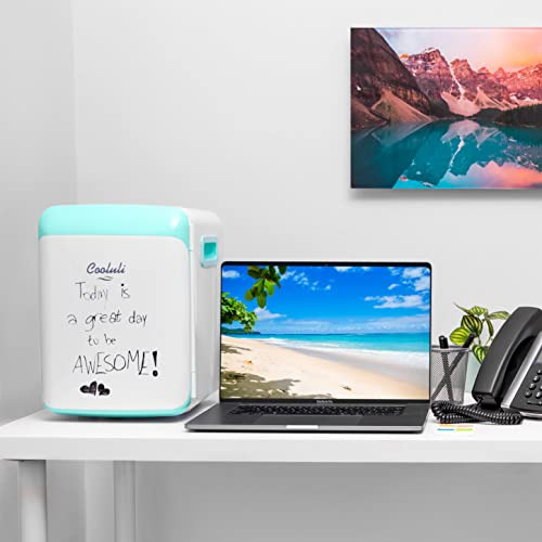 Minirefrigerador 10l Friocalor Portátil Para Múltiples Usos,