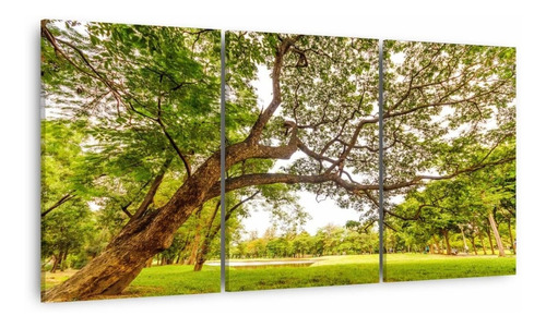Imagem 1 de 8 de Quadro Árvore Natureza Verde Conjunto Decorativo 180x90