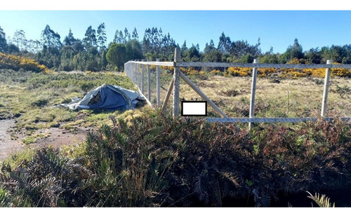 Alerce Parcela 5000 M2 Conlinda Con Estero Rio Negro