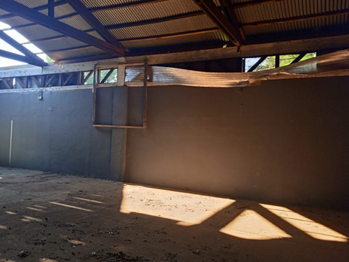 Imagen 8 de 9 de Propiedad De 4.400 M2 Con Galpon De 14 X 50.