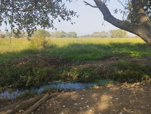 Vende 35.5 Hás San Clemente, Región Del Maule