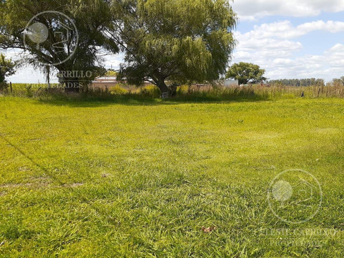 Imagen 2 de 2 de Venta - Lote - Gahan - Salto