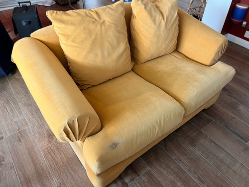 Sillon 2 Plazas Color Amarillo Yema