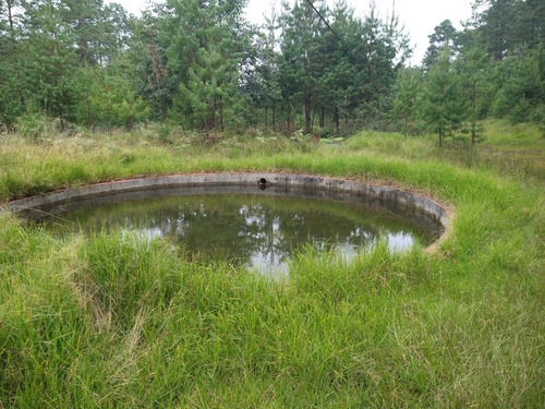 Imagen 8 de 14 de Rancho En Venta En Agua Blanca Pachuca Hidalgo