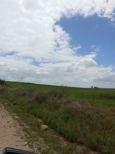 Se Vende Gran Campo En El Departamento De Florida. Superficie De 150 Hectáreas. Está Todo El Predio Alambrado, Tiene Tajamares. Tiene La Gran Ventaja Y Facilidad De Acceso Directo Por 2 Rutas.