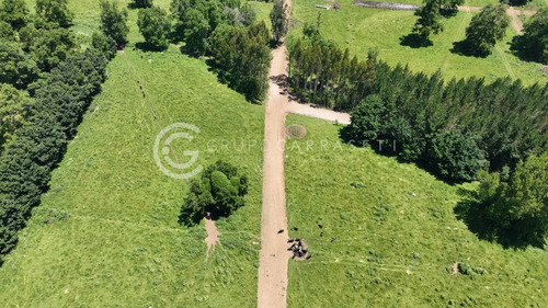 Imagen 8 de 15 de Parcelas Con Acceso A Rio - Robles Del Rahue