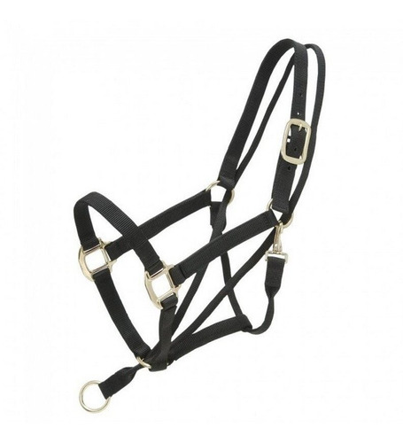 Caballo Halter Tirado Atra Equino Aguila Dura-1