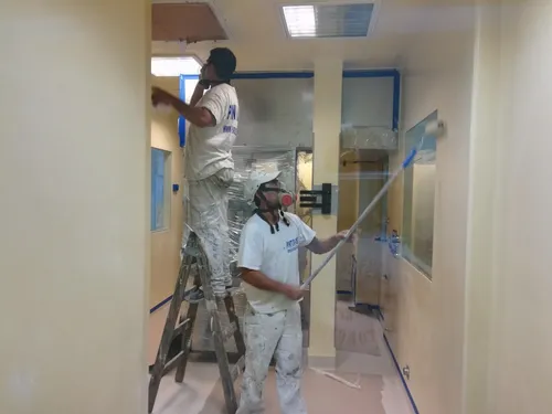 Pintor Profesional Casas Y Empresas Zona Oeste Y Norte