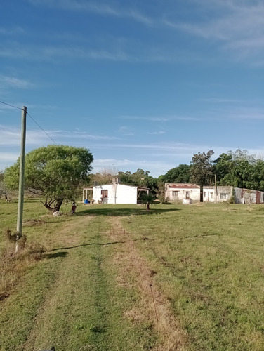 Excelente Oportunidad 11,5 Hectáreas, Lugar Único Bien Alto